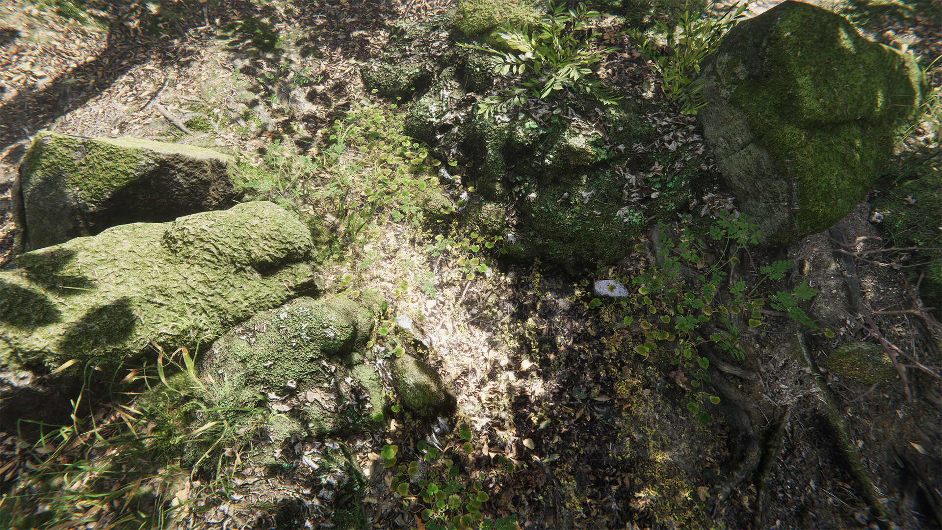 Forest Environment - Dynamic Nature - Image 1