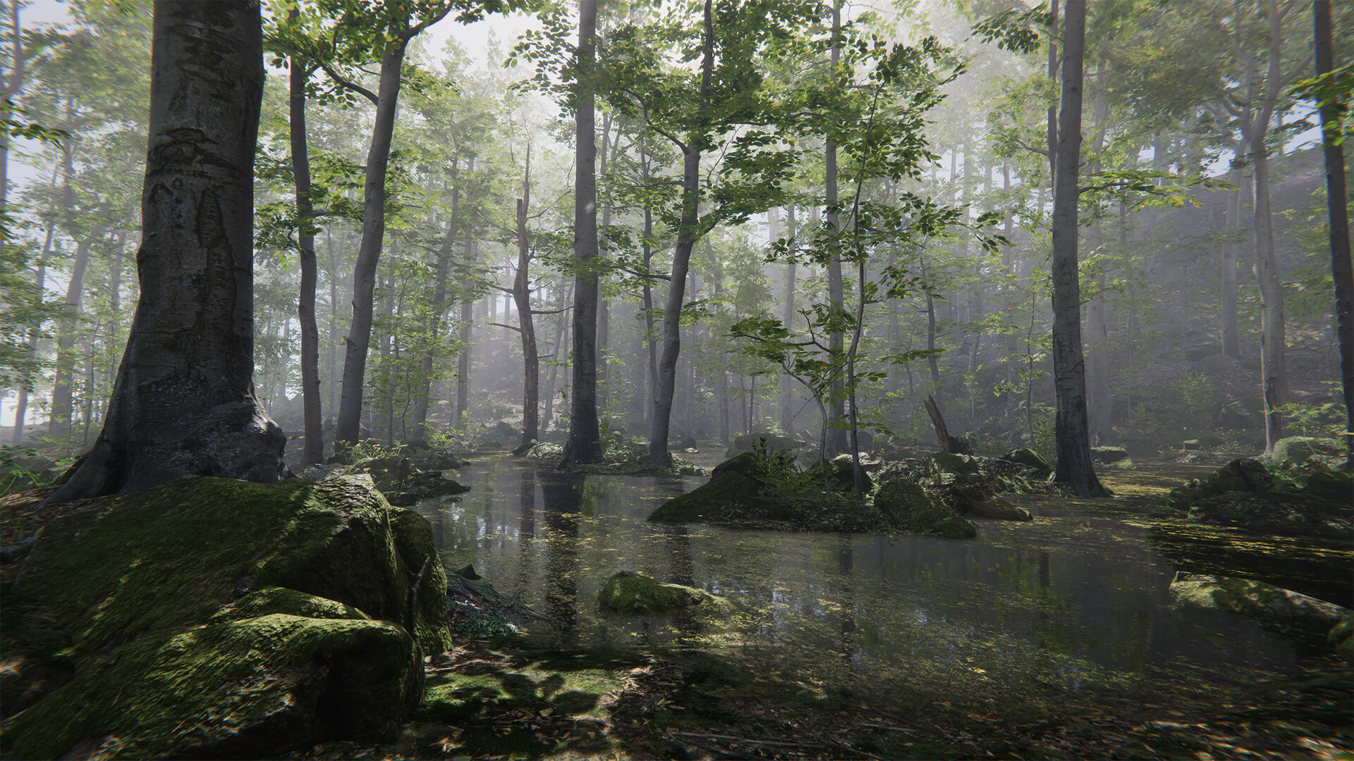 Forest Environment - Dynamic Nature - Image 4