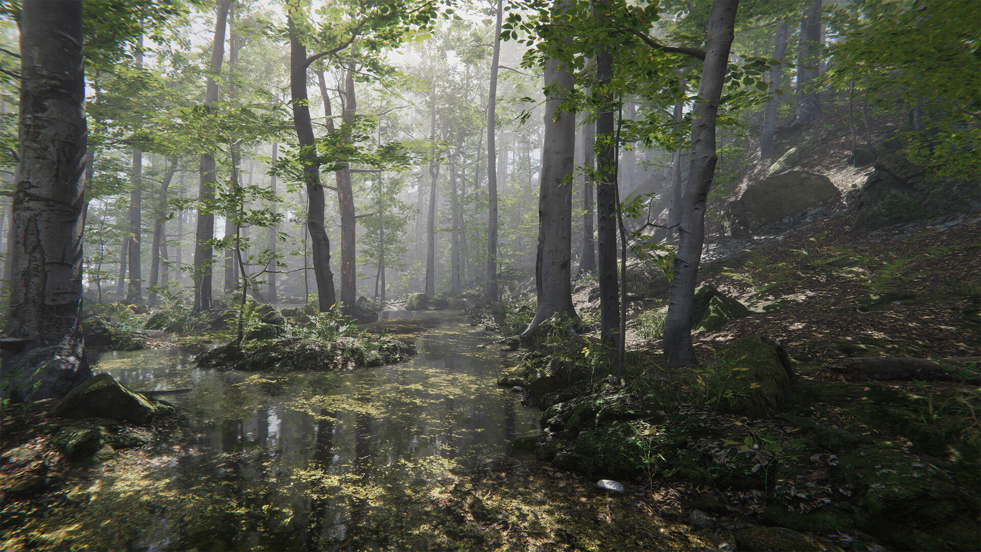 Forest Environment - Dynamic Nature - Image 2
