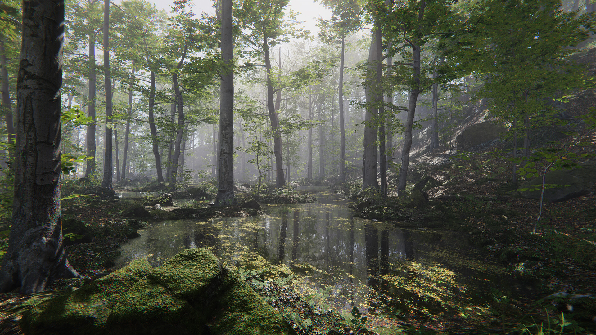 Forest Environment - Dynamic Nature - Image 3