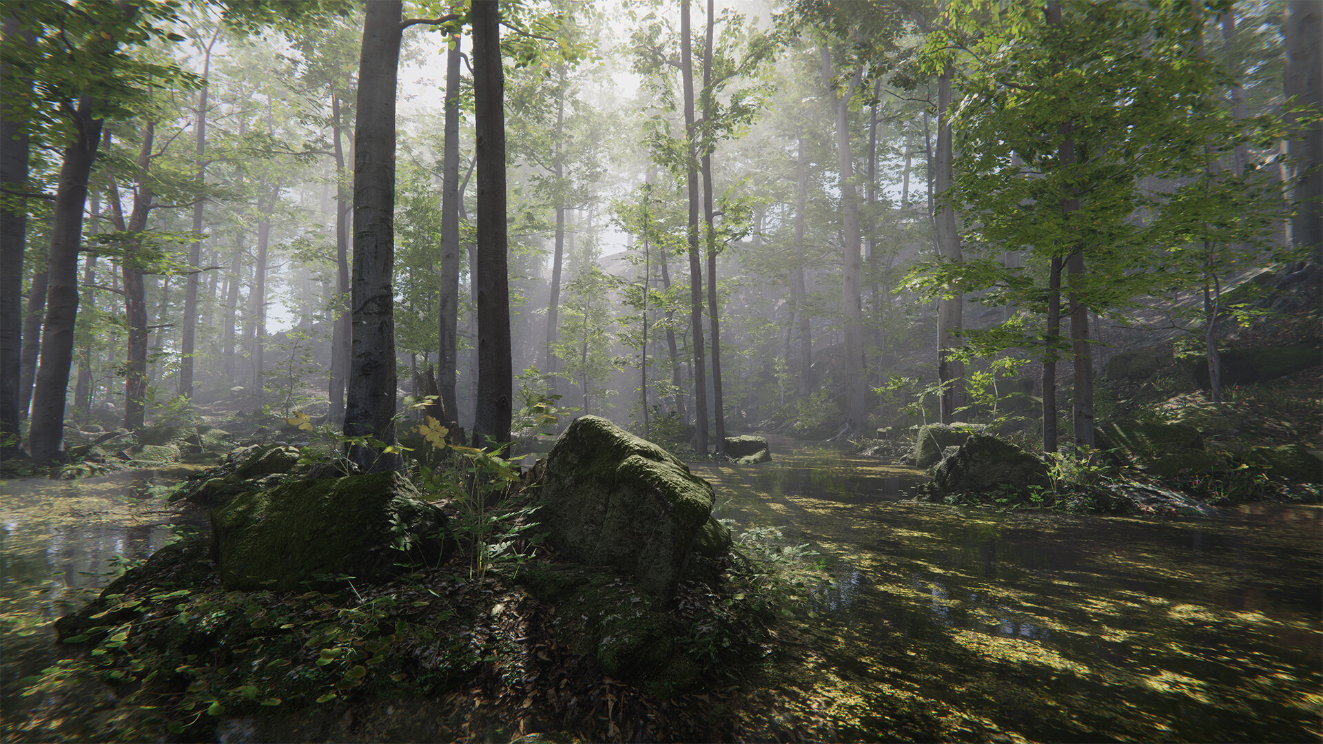 Forest Environment - Dynamic Nature - Image 5