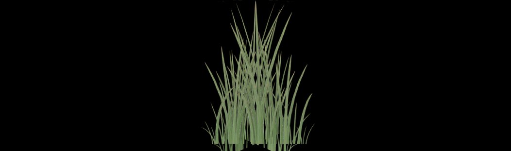 Grass Patches 3D Model (GLB) – Natural Ground Cover Vegetation Pack