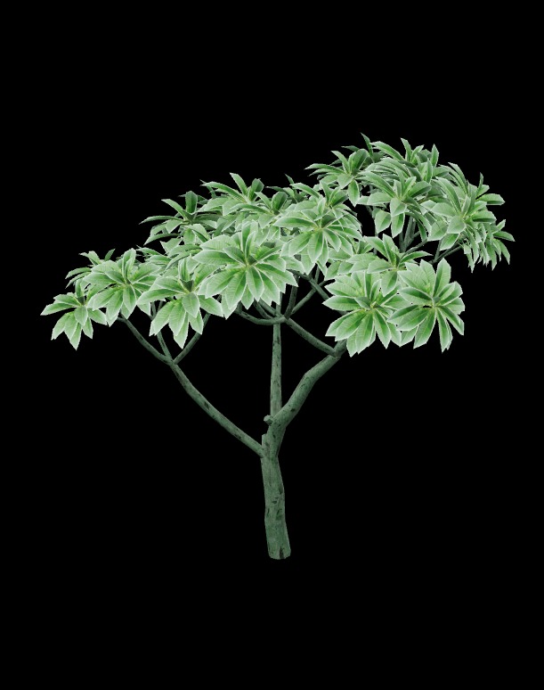 tree 3d model