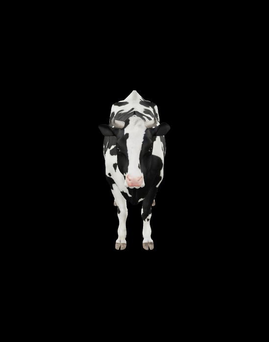 cow 3d model