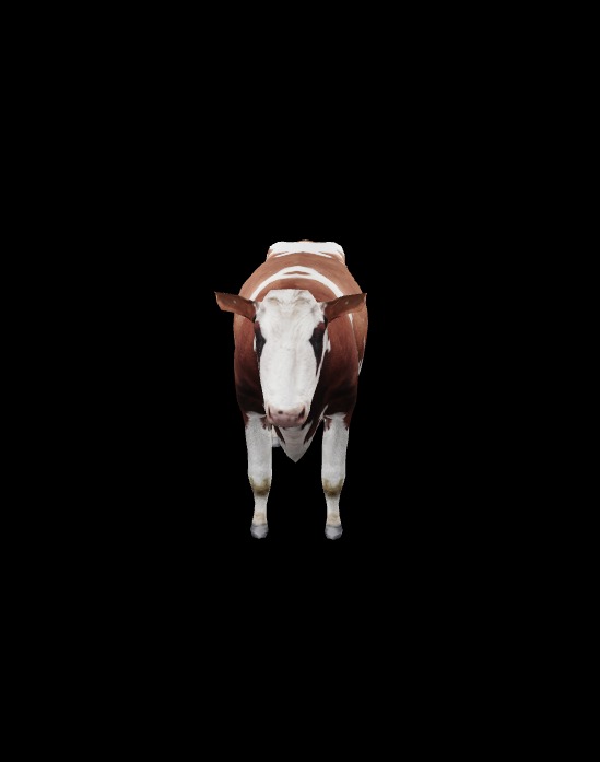 cow 3d modlel