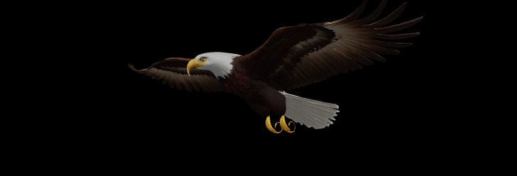 Bald Eagle Flying Bird Model – Game Ready 3D Asset