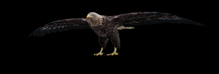 Eagle. – Game Ready 3D Asset