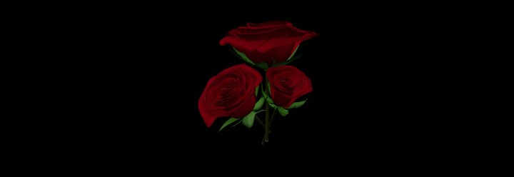 Realistic Rose Flower 3D Model – Elegant Red Rose for Games & Rendering